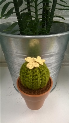 cactus magnet 2 