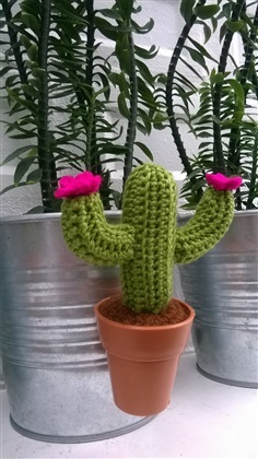 cactus magnet 3