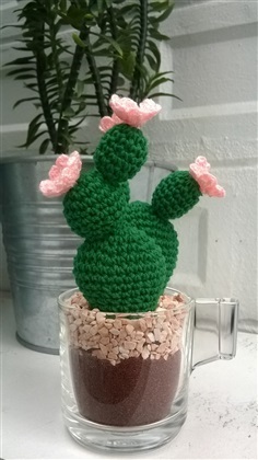 cactus 2&quot; (2)