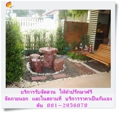 รับจัดสวน3