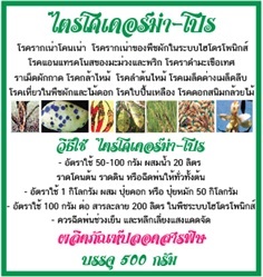 ไตรโคเดอร์ม่า คุณภาพสูง (ชนิดผง)(500กรัม)(1ซอง ราคา 90 บาท)