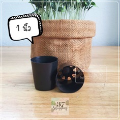 37pots กระถางพลาสติกปากกลม 1 นิ้ว สีดำ (10ใบ/ชุด)