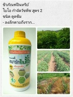 สารสกัดอินทรีย์ กำจัดวัชพืช สูตร2 ชนิดดูดซึม