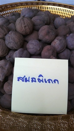 สมอพิเภก