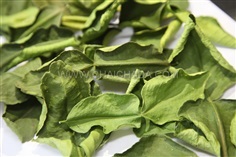 ใบมะกรูดอบแห้ง Dried Kaffir lime leaf