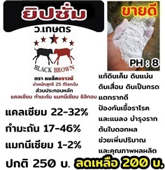 ยิปซัม เเบล็คบราวน์