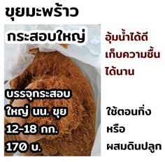  ขุยมะพร้าว ว.เกษตร จันทบุรี