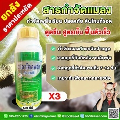 กําจัดเพลี้ย แมลง อิมิดาโคลพริด เพลี้ยไฟ ไม้ดอก 