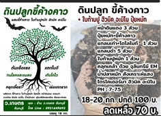 ดินปลูกขี้ค้างคาว ว.เกษตร