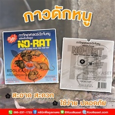 กาวดักหนู NO-RAT สำเร็จรูป เหนียวพิเศษ