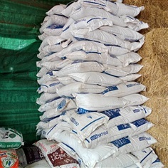 แกลบดิบ ว.เกษตร จันทบุรี