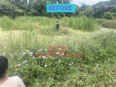 รับจ้างตัดหญ้าแปลงเกษตรน้ำท่วม