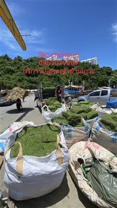 รับปลูกหญ้าพื้นที่ห่างไกล