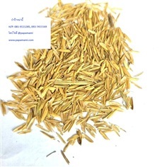 แกลบเหลือง แกลบเปลือกข้าว แกลบผสมดิน แกลบใส่ต้นไม้