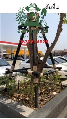 เหล็กค้ำยันต้นไม้ 