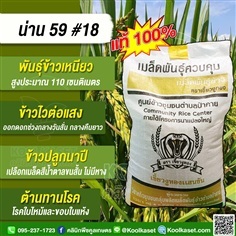ข้าวเหนียว น่าน 59 (เขี้ยวงูทอง) คูลเกษตร