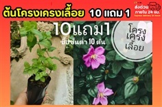 โครงเครงเลื้อย