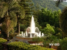 บ่อน้ำพุวงกลม 2 ชั้น พร้อมวง Ring และทรงต้นสน 8 หัวที่ภูเรือ
