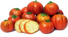 มะเขือตุรกี Turkish Orange Eggplant