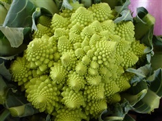 บล๊อคคอลลี่ เจดีย์ โรมาน เนสโก้  Romanesco Broccoli