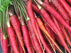 แครอทสีแดง Carrot - Atomic Red 