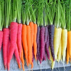 แครอทคละสี Carrot Mixed