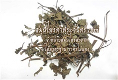 ชะพลู / ช้าพลู (ทั้ง5)