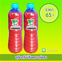 จุลิทรีย์สังเคราะห์แสง