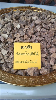 หัวยาข้าวเย็นใต้