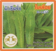 ผักชีฝรั่งใบเลื่อย