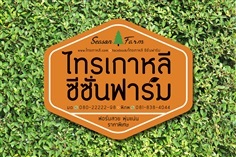ไทรเกาหลี