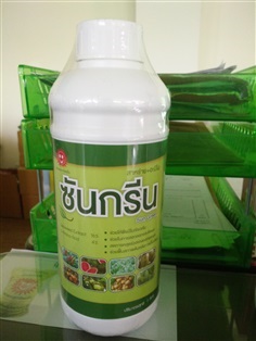 ซันกรีน SUN GREEN