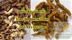 จำหน่ายขมิ้นชัน ขมิ้นชันสด ขมิ้นชันแห้ง สมุนไพร สมุนไพรไทย