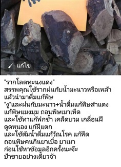 โลดทะนงแดง