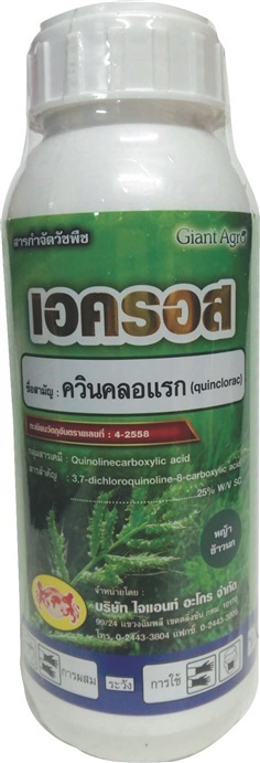 เอครอส:ควินคลอแรก 25%