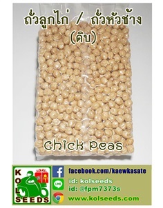 จำหน่ายถั่วลูกไก่ / ถั่วหัวช้าง Chickpeas 500 กรัม/1000 กรัม