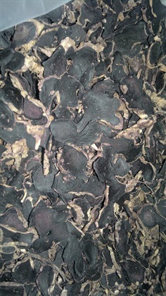 กระชายดํา Dried Black Ginger