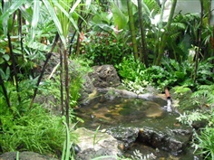 ลำธาร หินเทียม น้ำตก สวนป่า บ่อปลาคราฟ