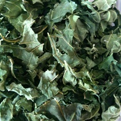 ชาใบมะละกอแห้ง(Dried Papaya Leaf for Tea)
