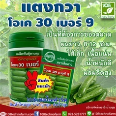 แตงกวาโอเค 30 เบอร์ 9