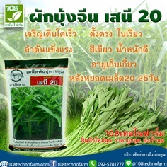 ผักบุ้งเสนี 20