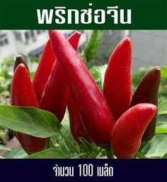 พริกช่อจีน(สินค้าน้ำเข้า)