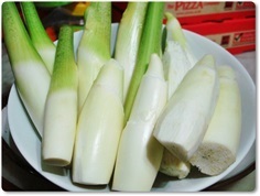 หน่อไม้น้ำ
