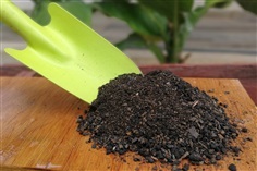 ถ่านชีวถาพ (Biochar) ผสมมูลสัตว์หมักสูตรวิศวกรรมแม่โจ้