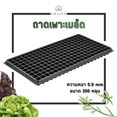 ถาดเพาะเมล็ด 50/105/200หลุม หนา 0.9 mm(Seeding tray)