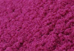 ผงแก้วมังกรแดงแท้ Red Dragon Fruit Powder