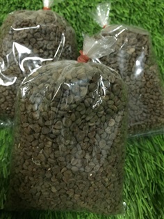 เมล็ดกระเจี๊ยบแดงพันธุ์ซูดาน เมล็ดพันธุ์ใหม่ โลละ50บาท