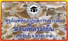 ครุภัณฑ์สำหรับห้องปฏิบัติการเพาะเห็ด