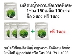 เมล็ดหญ้าหวาน Stevia Seeds (ใช้แทนน้ำตาล)