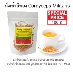 ถั่งเช่าสีทอง เกรดA อบแห้ง Cordyceps Militaris 20กรัม